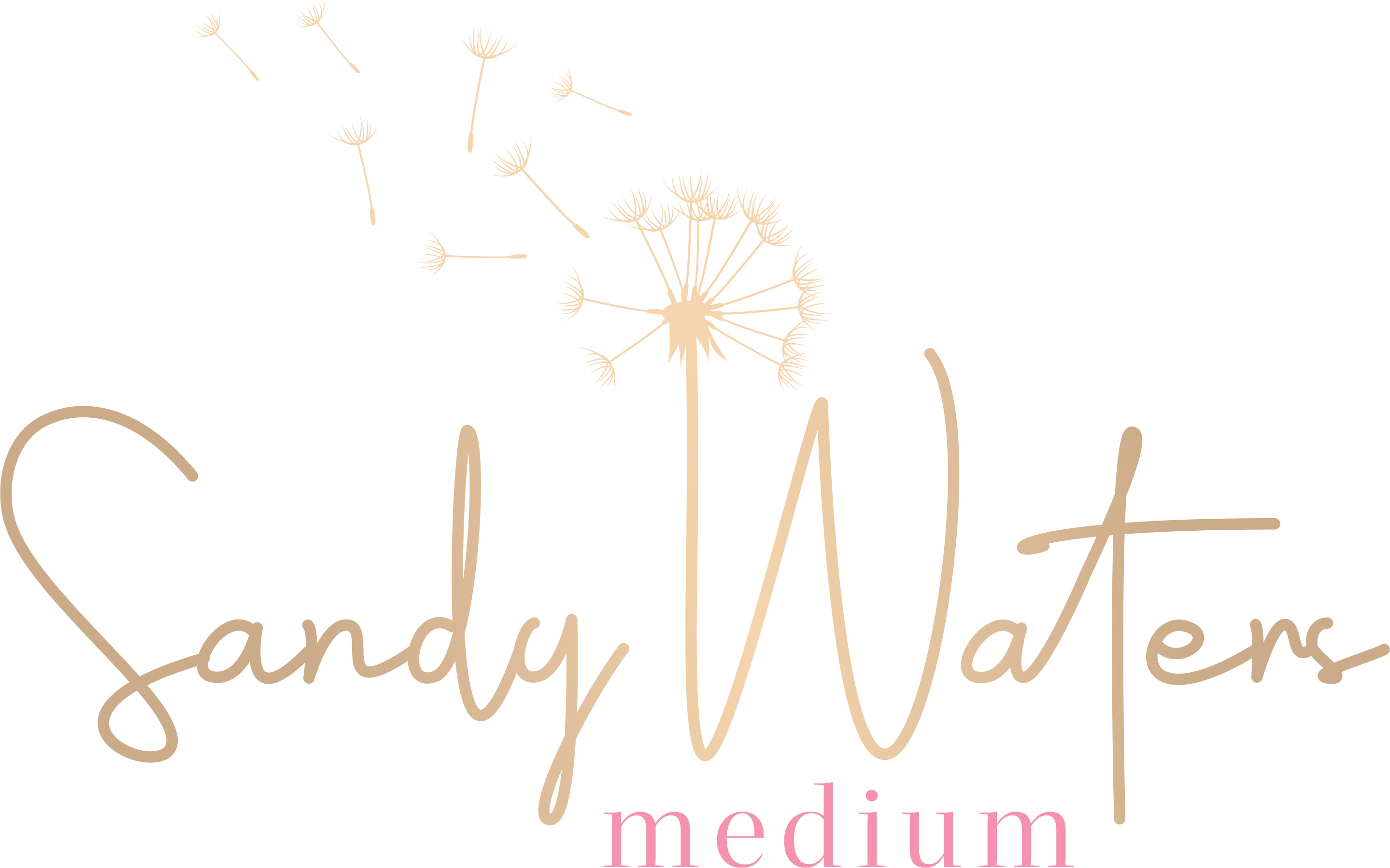 Sandy Waters Medium Logo